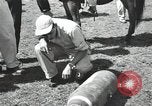 Image bombes inactif Honduras, 1950, de la seconde 57 séquences d'archives historiques vidéo 65675024172