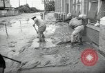 Immagine di Flood United States USA, 1954, secondo 45 filmato di repertorio 65675024175