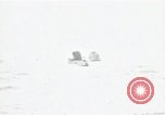 Immagine di Catturate il tedesco U-505 Chicago Illinois USA, 1954, secondo 43 filmato di repertorio 65675024185