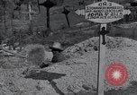 Image of Grave yard Cuba, 1938, second 38 stock footage video 65675024210