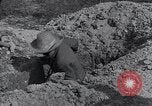 Image of Grave yard Cuba, 1938, second 51 stock footage video 65675024210