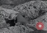 Image of Grave yard Cuba, 1938, second 54 stock footage video 65675024210