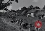 Image of Rural village Cuba, 1938, second 32 stock footage video 65675024211