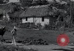 Image of Rural village Cuba, 1938, second 39 stock footage video 65675024211