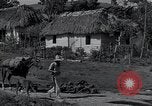 Image of Rural village Cuba, 1938, second 40 stock footage video 65675024211