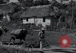 Image of Rural village Cuba, 1938, second 41 stock footage video 65675024211