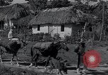 Image of Rural village Cuba, 1938, second 42 stock footage video 65675024211