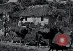 Image of Rural village Cuba, 1938, second 43 stock footage video 65675024211