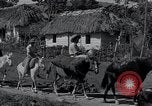 Image of Rural village Cuba, 1938, second 44 stock footage video 65675024211