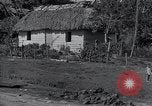 Image of Rural village Cuba, 1938, second 54 stock footage video 65675024211