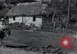 Image of Rural village Cuba, 1938, second 56 stock footage video 65675024211