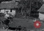 Image of Rural village Cuba, 1938, second 58 stock footage video 65675024211