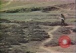 Immagine di Lo stato dei bambini United States USA, 1985, secondo 21 filmato di repertorio 65675024218