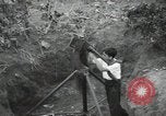 Image of American Embassy Guatemala, 1954, second 60 stock footage video 65675024241