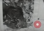 Image of Propaganda photographs Guatemala, 1954, second 44 stock footage video 65675024244
