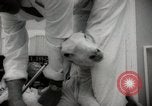 Image of Unions Display United States USA, 1961, second 48 stock footage video 65675024255