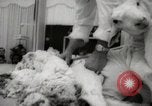 Image of Unions Display United States USA, 1961, second 50 stock footage video 65675024255
