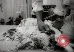 Image of Unions Display United States USA, 1961, second 51 stock footage video 65675024255