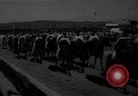 Image of Tangier harbor Morocco North Africa, 1938, second 37 stock footage video 65675024261