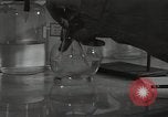 Standbild chemische Experimente United States USA, 1948, aus Sekunde 20 historischem Filmmaterial Videoclip 65675024267