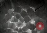 Image of Heat tests of materials Karlshagen Germany, 1944, second 28 stock footage video 65675024324
