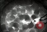 Image of Heat tests of materials Karlshagen Germany, 1944, second 53 stock footage video 65675024324