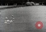 Image of Rocketry Germany, 1931, second 35 stock footage video 65675024383