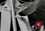 Standbild Reinhold Bodenbearbeitung Deutschland, 1931, aus Sekunde 24 historischem Filmmaterial Videoclip 65675024388
