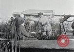 Standbild Reinhold Bodenbearbeitung Deutschland, 1931, aus Sekunde 52 historischem Filmmaterial Videoclip 65675024388