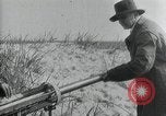 Standbild Insel Wangerooge Deutschland, 1931, aus Sekunde 48 historischem Filmmaterial Videoclip 65675024391
