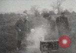 Image of Johannes Winkler Germany, 1931, second 34 stock footage video 65675024402