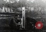 Image of Johannes Winkler Germany, 1931, second 50 stock footage video 65675024403