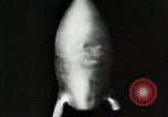 Image of Alcohol-liquid oxygen rocket engine Berlin Germany, 1932, second 48 stock footage video 65675024408