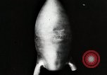 Image of Alcohol-liquid oxygen rocket engine Berlin Germany, 1932, second 50 stock footage video 65675024408
