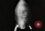 Image of Alcohol-liquid oxygen rocket engine Berlin Germany, 1932, second 51 stock footage video 65675024408