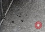 Standbild Amerikanische 82 Und 101 Fallschirmjäger am Vorabend des D-Day Invasion Frankreichs England, 1944, aus Sekunde 27 historischem Filmmaterial Videoclip 65675024429