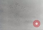 Standbild Der D-Day Invasion Schlacht an den Stränden Normandie Frankreich, 1944, aus Sekunde 6 historischem Filmmaterial Videoclip 65675024431