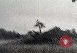 Immagine di Alleati importanti città portuale dopo il D-Day nella seconda guerra mondiale Cherbourg Francia, 1944, secondo 58 filmato di repertorio 65675024433