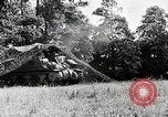 Standbild Verbündeten Einrücken der Deutschen in Hecken der Normandie Normandie Frankreich, 1944, aus Sekunde 17 historischem Filmmaterial Videoclip 65675024434