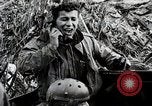 Standbild Verbündeten Einrücken der Deutschen in Hecken der Normandie Normandie Frankreich, 1944, aus Sekunde 19 historischem Filmmaterial Videoclip 65675024434