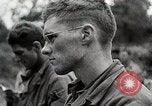 Image Alliés continuent progresser à travers la Normandie Normandie France, 1944, de la seconde 14 séquences d'archives historiques vidéo 65675024435