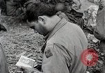 Image Alliés continuent progresser à travers la Normandie Normandie France, 1944, de la seconde 16 séquences d'archives historiques vidéo 65675024435