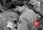 Image Alliés continuent progresser à travers la Normandie Normandie France, 1944, de la seconde 17 séquences d'archives historiques vidéo 65675024435
