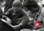 Image Alliés continuent progresser à travers la Normandie Normandie France, 1944, de la seconde 43 séquences d'archives historiques vidéo 65675024435