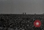 Image of German soldiers surrendering as U.S. Army advances through Belgium France, 1944, second 1 stock footage video 65675024438