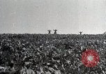 Image of German soldiers surrendering as U.S. Army advances through Belgium France, 1944, second 3 stock footage video 65675024438
