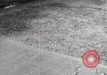 Image of German soldiers surrendering as U.S. Army advances through Belgium France, 1944, second 43 stock footage video 65675024438