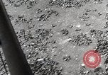 Image of German soldiers surrendering as U.S. Army advances through Belgium France, 1944, second 49 stock footage video 65675024438