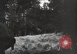 Image des Alliés de lancer des attaques au sol contre l'Allemagne au cours Seconde Guerre Mondiale Allemagne, 1944, de la seconde 38 séquences d'archives historiques vidéo 65675024440
