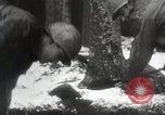 Image of American Troops use mine detectors in snow Germany, 1944, second 27 stock footage video 65675024444